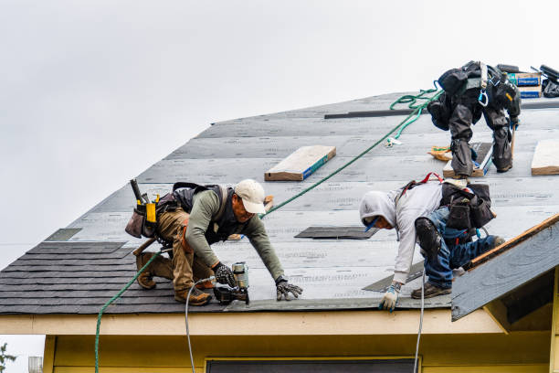 Professional Storm Damage Roof Repair technician working in Carson City, MI